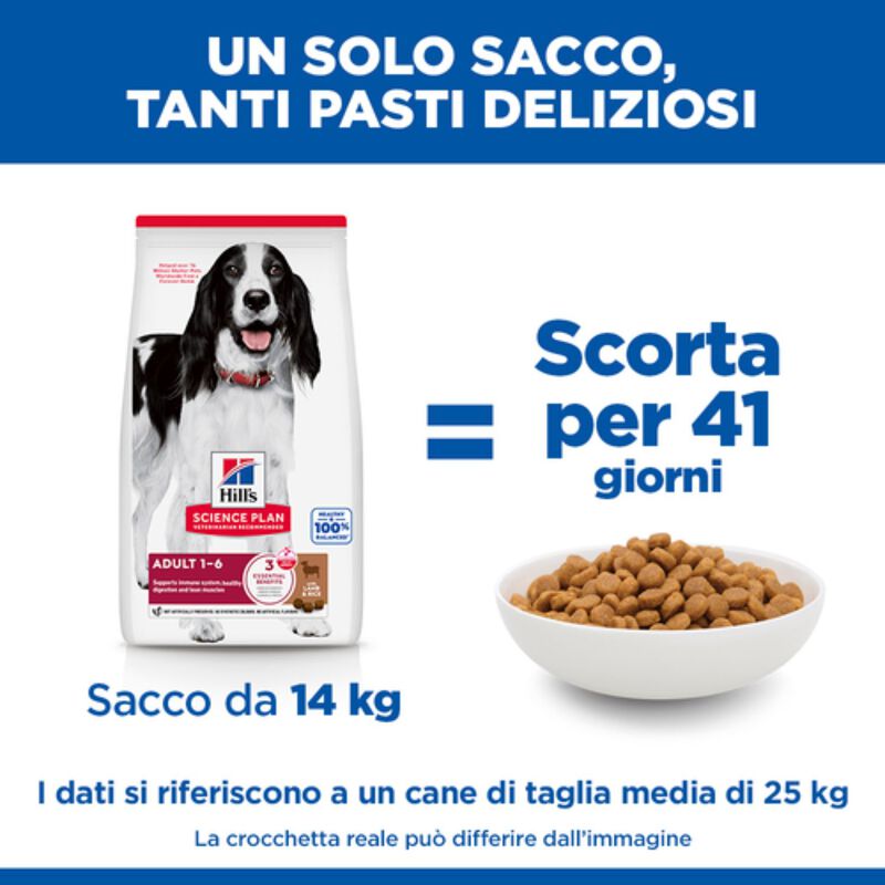 Hill's Science Plan Dog Adult Medium con Agnello e Riso 14 kg