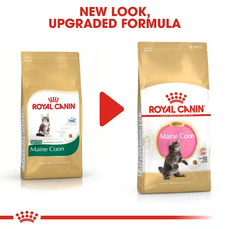 Royal Canin Cat Kitten Maine Coon 400 gr