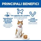 Hill's Science Plan Sterilised Adult Mousse per gatti sterilizzati con Salmone 85 gr