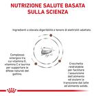 Royal Canin Veterinary Diet Cat Kitten Gastrointestinal 400 gr