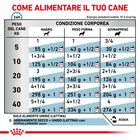 Royal Canin Veterinary Diet Dog Hypoallergenic 400 gr