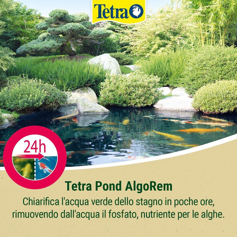 Tetra Pond AlgoRem 250 ml