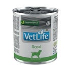 Farmina Vet Life Dog Renal 300 gr image number 0