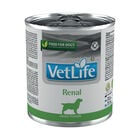 Farmina Vet Life Dog Renal 300 gr