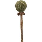 Trixie Catnip Lollipop Matatabi 11 cm