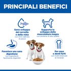 Hill's Science Plan Puppy Small & Mini con Agnello e Riso 1,5 kg