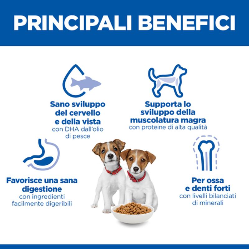 Hill's Science Plan Puppy Small & Mini con Agnello e Riso 1,5 kg