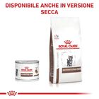 Royal Canin Veterinary Diet Kitten Gastrointestinal 195 gr