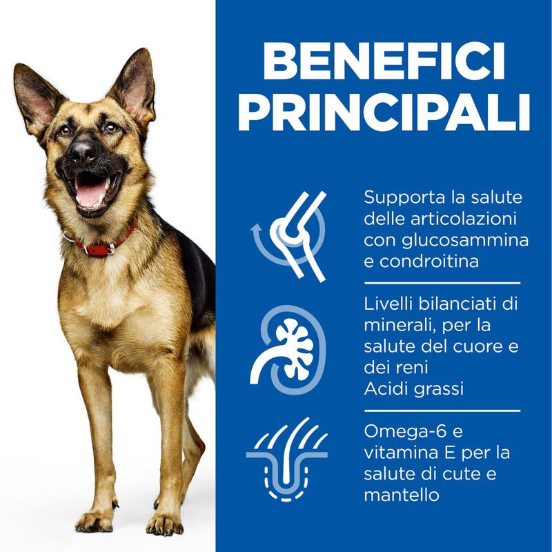 Hill's Science Plan Dog Large Breed Mature Adult 6+ con Pollo 12 kg