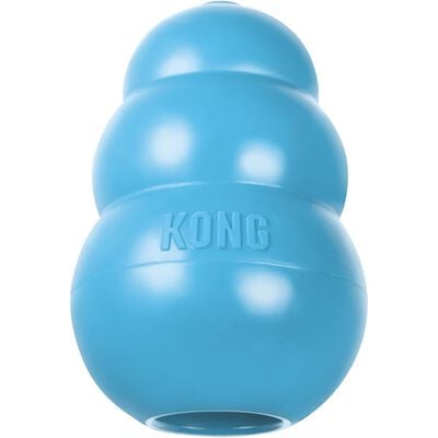 Kong Gioco da Mordere per cuccioli L Blu 1 pz