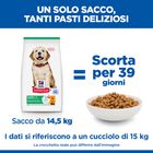 Hill's Science Plan Dog Puppy Large al Pollo 14,5 kg