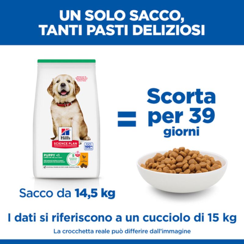 Hill's Science Plan Dog Puppy Large al Pollo 14,5 kg