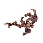 Zolux Radice Mopani XL image number 0