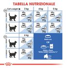 Royal Canin Cat Senior Indoor 7+ 400 gr