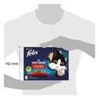 Felix Le Ghiottonerie Cat Selezioni Deliziose con Manzo e Pollo 12 x 85 gr