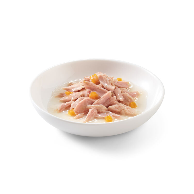 Schesir Cat Tonnetto con Zucca in brodo 70 gr