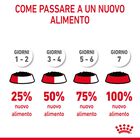 Royal Canin Cat Adult Hair&Skin in Salsa 85gr