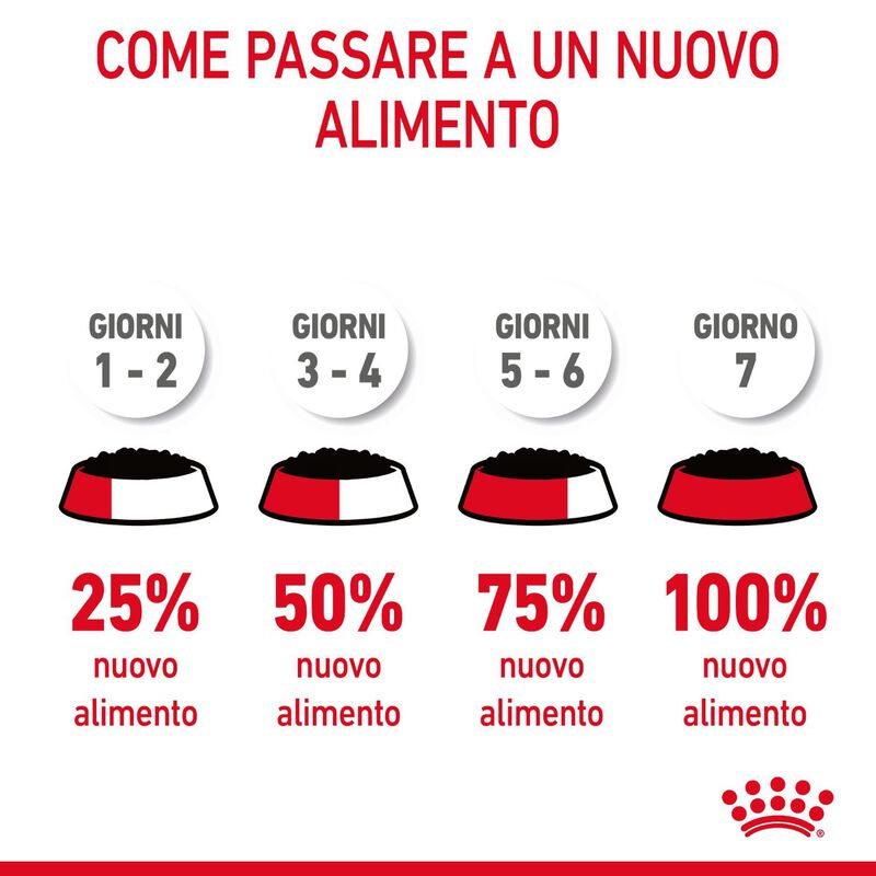 Royal Canin Cat Adult Hair&Skin in Salsa 85gr