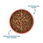 Wow Dog Adult Salmone con spinaci e patate dolci 6kg