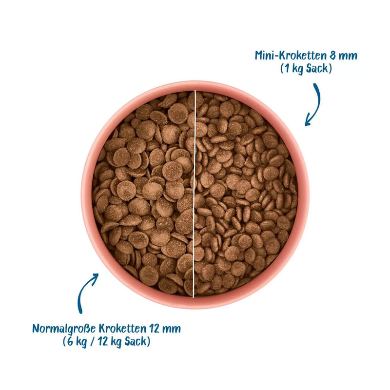 Wow Dog Adult Salmone con spinaci e patate dolci 6kg