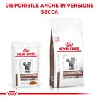 Royal Canin Veterinary Diet Cat Gastrointestinal Moderate Calorie 12x85 gr