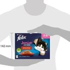 Felix Le Ghiottonerie Kitten Selezioni Deliziose Manzo e Pollo 72 pz x 85 gr