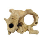 Amtra Roccia Gallura con Foro Beige M image number 0