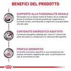 Royal Canin Veterinary Diet Dog Renal 410 gr