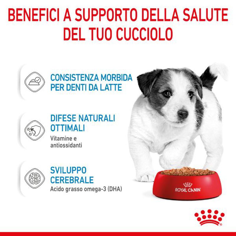 Royal Canin Dog Medium Puppy 140 gr
