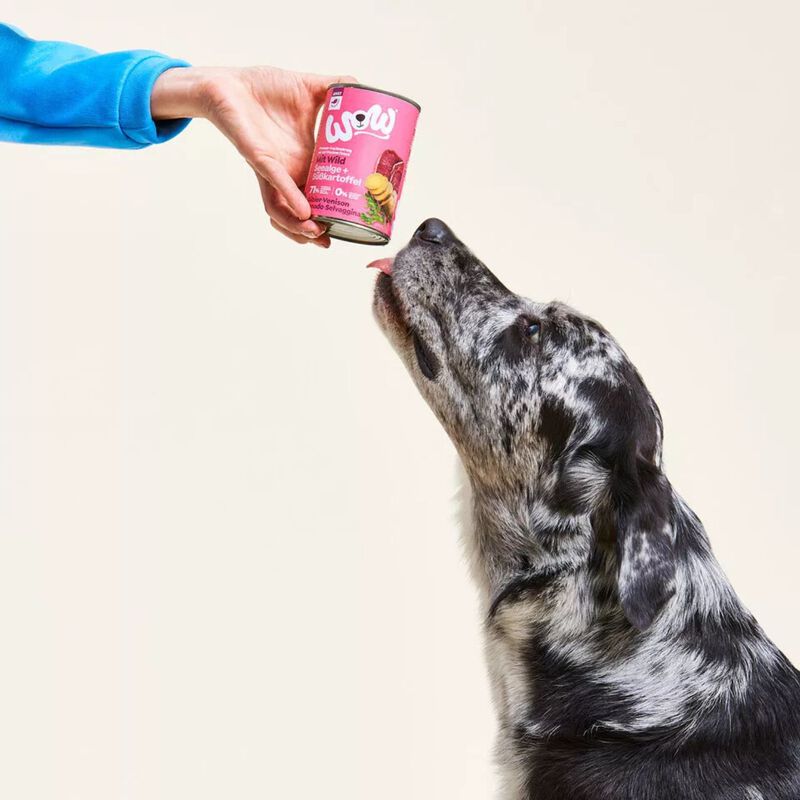 Wow Dog Adult Selvaggina con Alghe Marine e Patate Dolci 400 gr