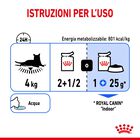 Royal Canin Cat Adult Indoor Sterilized Jelly 85 gr