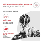 Royal Canin Veterinary Diet Dog Adult Glycobalance 7kg