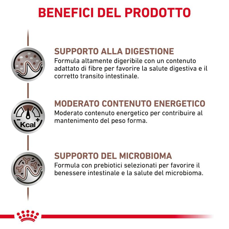 Royal Canin Veterinary Diet Cat Gastrointestinal Moderate Calorie 12x85 gr