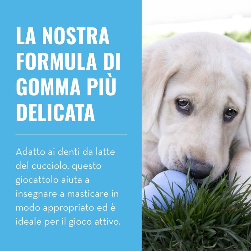 Kong Gioco da Mordere per cuccioli L Blu 1 pz