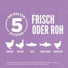 Orijen Kitten Pollo Tacchino e Salmone 340 gr