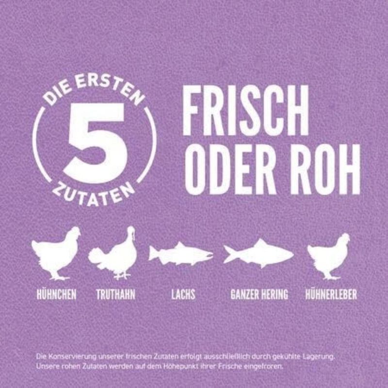 Orijen Kitten Pollo Tacchino e Salmone 340 gr