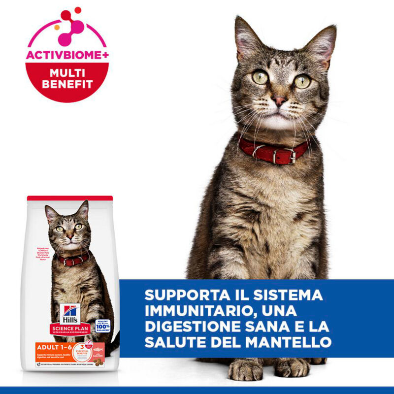 Hill's Science Plan Cat Adult 1-6 con Salmone 10 kg