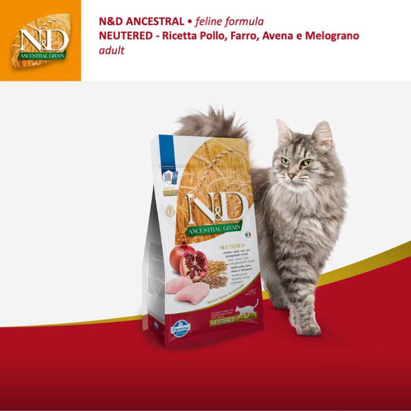 Farmina N&D Ancestral Grain Cat Sterilised Pollo Farro Avena e Melograno 300 gr