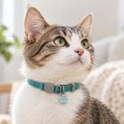 Coralpina Collare per gatti Azzurro