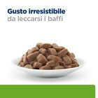 Hill's Prescription Diet Alimento umido per gatti adulti con Pollo 12 pz