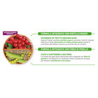 Natural Trainer Cat Adult Sterilised con Prosciutto crudo 10 kg