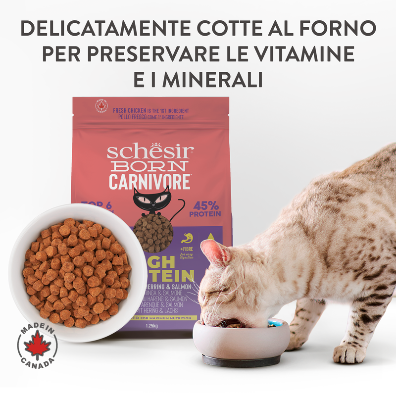 Schesir Born Carnivore Kitten Pollo con Uovo 255gr