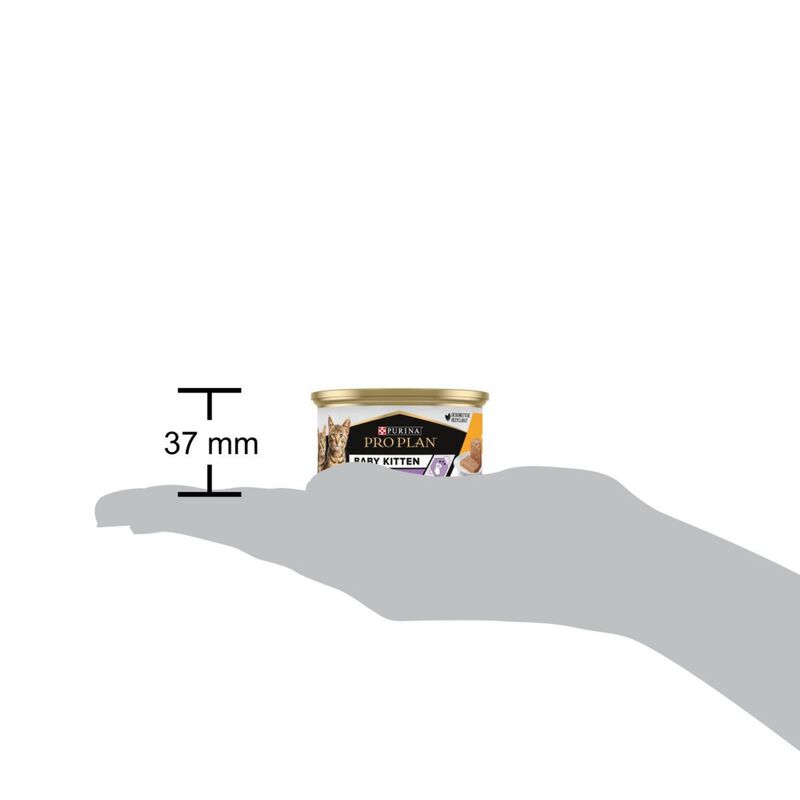 Purina Pro Plan Cat Baby Kitten Mousse Ricco in Pollo 85 gr