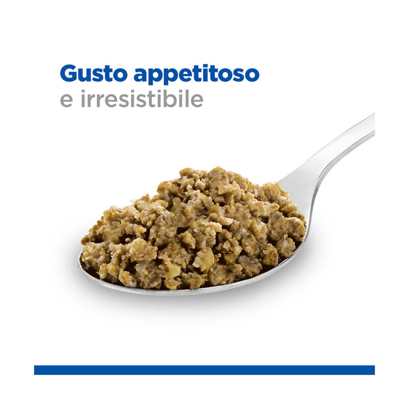 Hill's Science Plan Puppy con Manzo 370gr