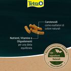 Tetra Pond KOI Sticks 4 lt