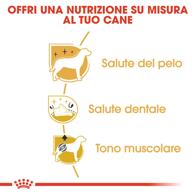 Royal Canin Dog Adult e Senior Barboncino 1,5 kg