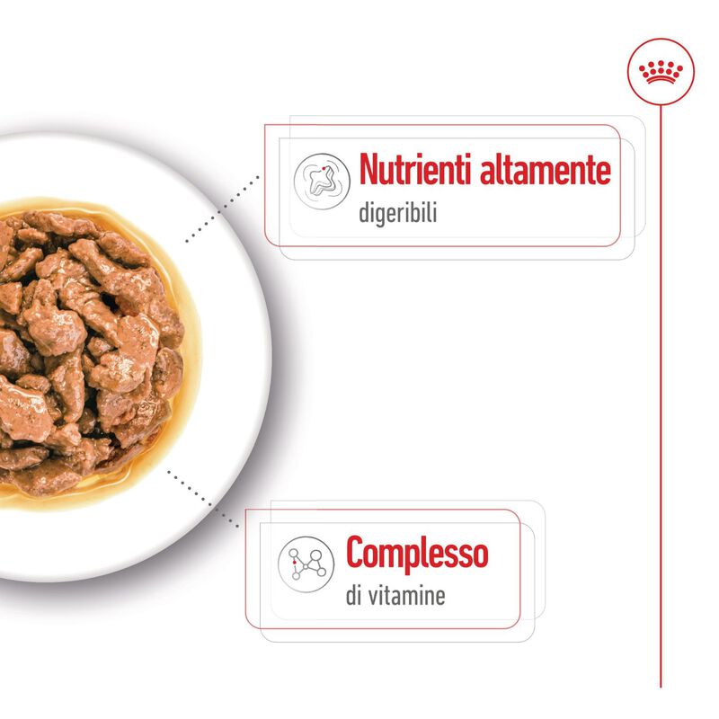 Royal Canin Dog Mini Adult 85 gr
