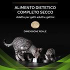Purina Pro Plan Veterinary Diets Cat HA Hypoallergenic St/Ox 325 gr