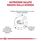 Royal Canin Veterinary Diet Dog Hypoallergenic 14 kg