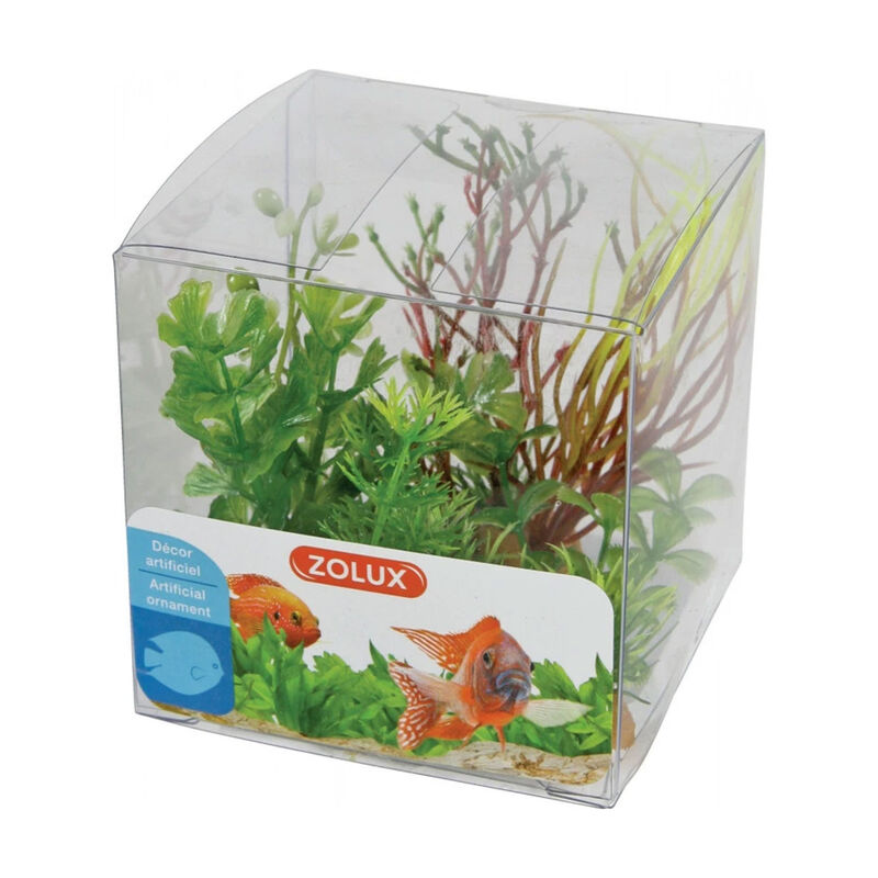 Zolux Mix Decorazioni 4 piante Box Mod 2